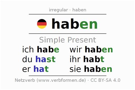 present german haben  forms  verb rules examples netzverb dictionary