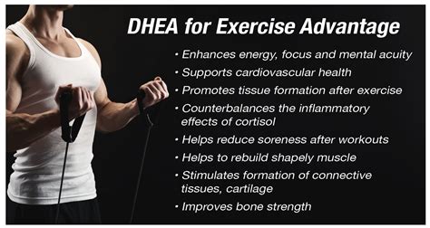 the benefits of dhea for women dhea twist 25