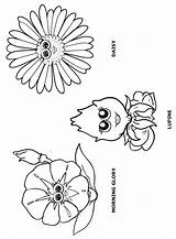 Flower Coloring Friends Daisy Girl Scout Petal Pages Scouts Makingfriends Print Garden Lupine Morning Petals Puppets Sheets Glory Daisies Flowers sketch template