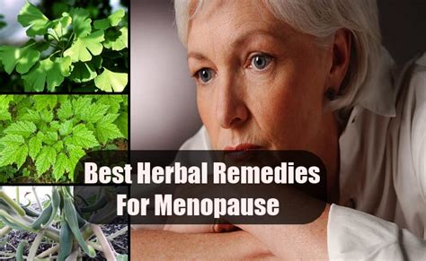 herbal remedies for menopause best herbs for menopause treatments search home remedy