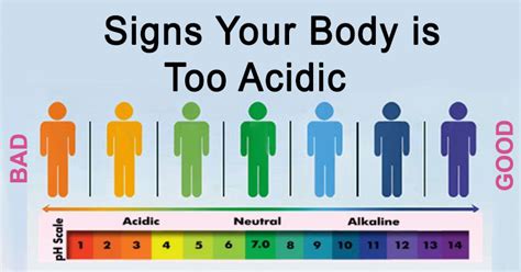 Be Careful With Body Ph Levels Here S What You Need To