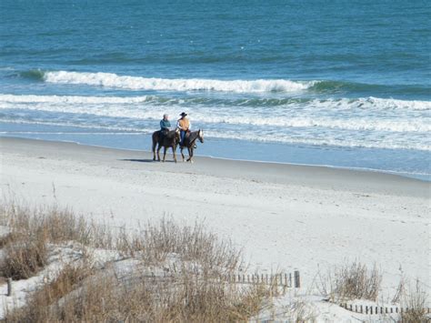 sea horseback riding   beach