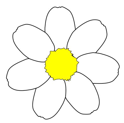simple daisy outline clipart