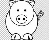 Pig Bellied sketch template