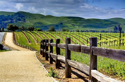 downtown livermore images  pinterest bay area livermore