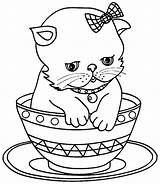 Kleurplaten Schattige Katten Gatinho Gatinhos Coloriages Chatons sketch template