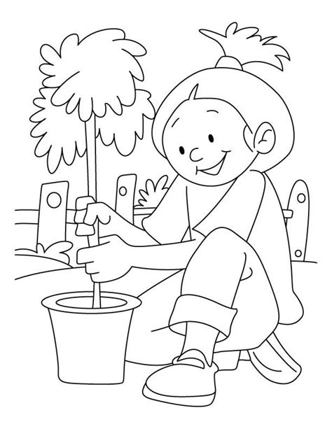 plant coloring sheet coloring home