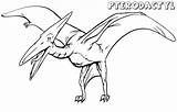 Pterodactyl Coloring sketch template