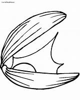 Clam Coloring Drawings Drawing Clipartmag Shell Getdrawings Clipart Pearl sketch template