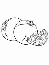Pomegranate Coloring Pages Fruits Recommended Color sketch template