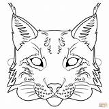 Lynx Luchs Ausmalbilder Maske Ausmalbild sketch template