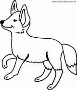 Fox Cub Animals sketch template