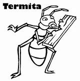 Termite Termitas Insect sketch template