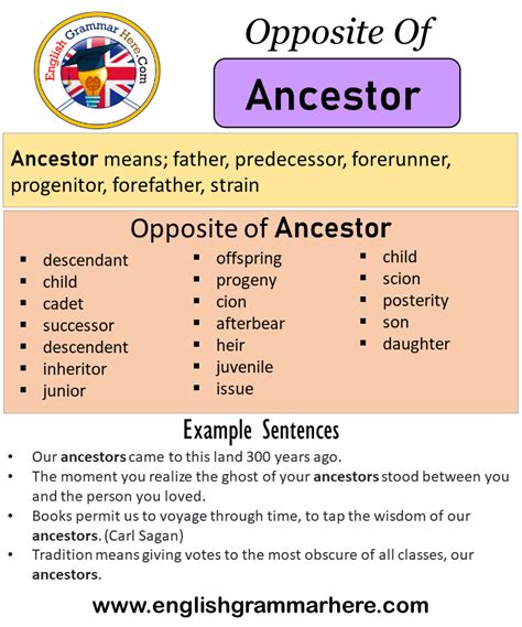 ancestor antonyms  ancestor meaning