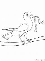 Vogel Zum Ausmalen Worms sketch template