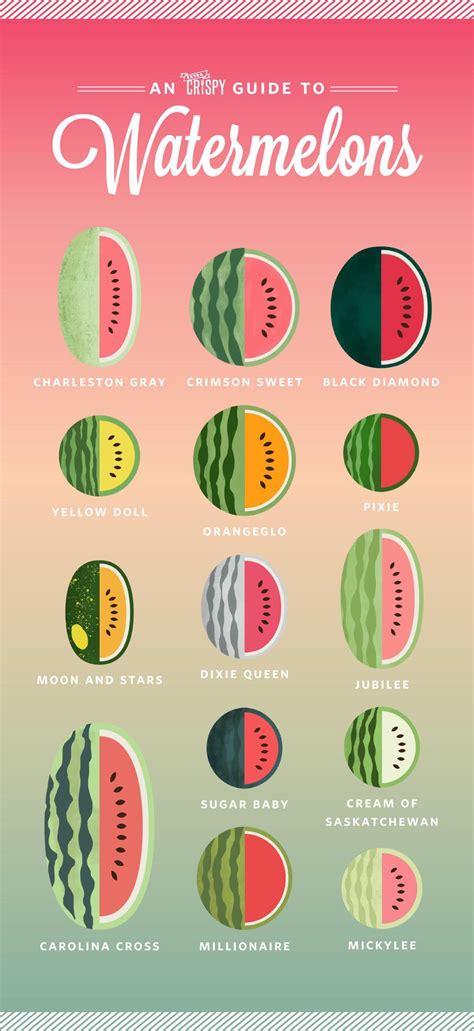 some different kinds of watermelons coolguides