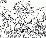 Coloring Bed Sea Designlooter Seabed Fish Two 9kb 250px sketch template