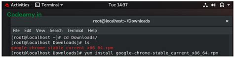 install chrome  linux redhat