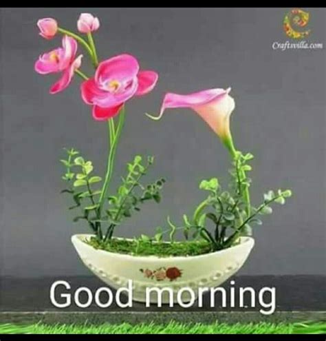 Good Morning Good Morning Flowers Good Morning Cards Good Morning