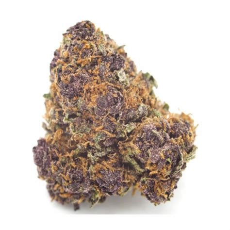 purple kush strain    flavor fix
