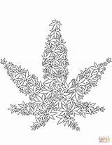 Coloring Pages Cannabis Printable sketch template