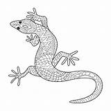 Gecko Lizard Colorare Hagedis Lucertola Lagarto Cicak Mewarnai Mandala Kleurend Getdrawings Bestcoloringpagesforkids Pintarmewarnai Imagem Dier sketch template