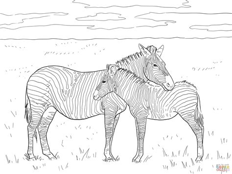 realistic zebra sheet coloring pages