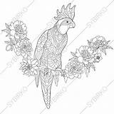 Parrot Coloring Visiter Cockatoo Book Pages Coloriage sketch template