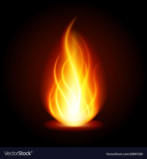 abstract fire flame light  black background vector image