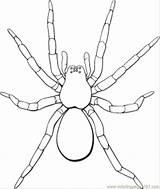 Spider Spiderman Spiders Pobarvanke Coloringhome sketch template