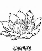 Coloring Lotus Flower Print Pages Printable Quality Flowers Big Book sketch template