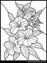 Outline Glass Painting Flowers Coloring Scenery Pages Drawing Para Designs Flower Outlines Flores Vitral Colorear Dibujos Printable Colouring Kids Color sketch template