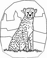 Cheetah Gepard Kolorowanki Malvorlagen Letzte sketch template