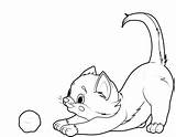 Katze Katzen Ausmalbilder Cat Noir Ausmalen Zum Ausdrucken Malvorlage Malvorlagen Mit Kinder Kostenlos Baby Auswählen Pinnwand Spielt sketch template