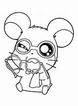 Coloring Hamtaro Pages Picgifs Colouring Cute Kids Cartoon Color sketch template