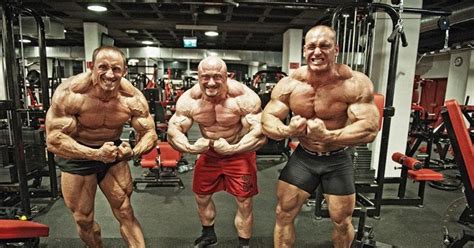 muscle addicts inc three polish muscle bulls
