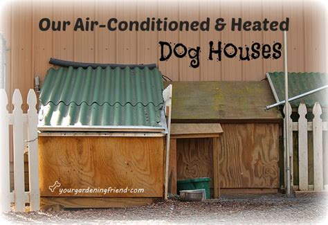 outdoor heated dog house dog houses heated dog house outdoor heated dog house