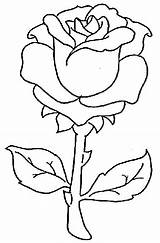 Rose Flower Coloring Pages Flowers Print Colouring Roses sketch template
