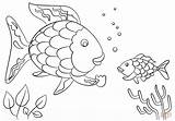 Coloring Fish Rainbow Pages Small Scale Precious Gives Printable Scales Drawing sketch template