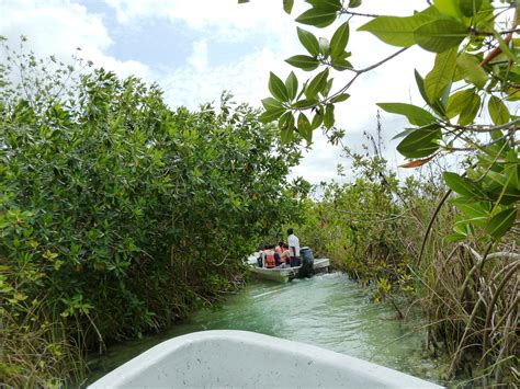 sian kaan biosphere reserve reserve canal tours stunning structures