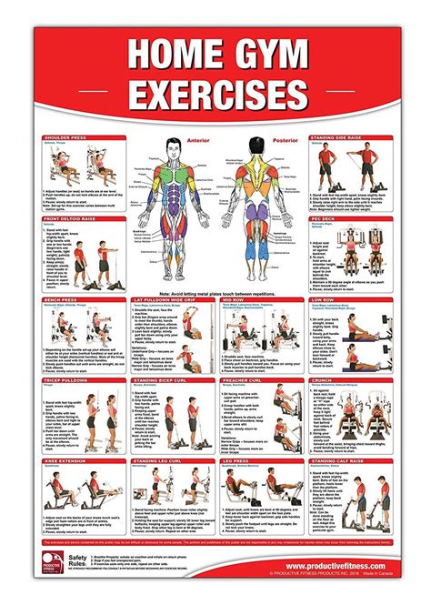 golds gym xrs  exercise chart gold gym xrs  system exercise chart