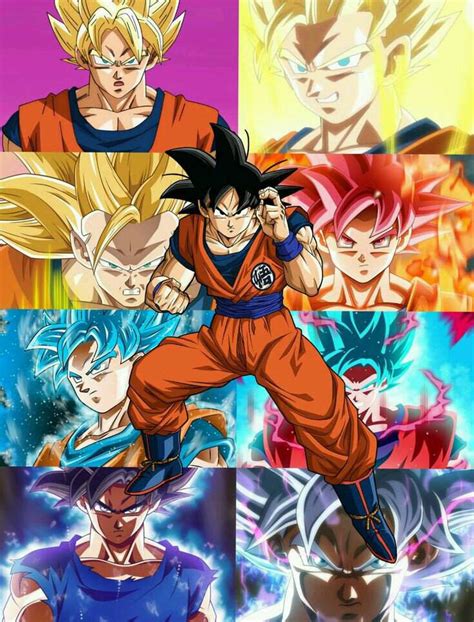 Goku All Forms Wiki Dragon Ball Super Official™ Amino