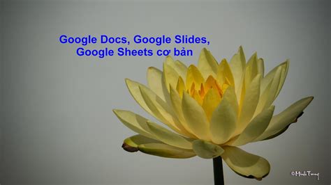 gg docs sheets   ban youtube