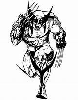 Wolverine Desenho Desenhar Everfreecoloring Sketchite sketch template