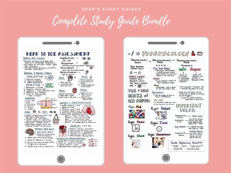 digital complete study guide bundle  nursing students nursing notes