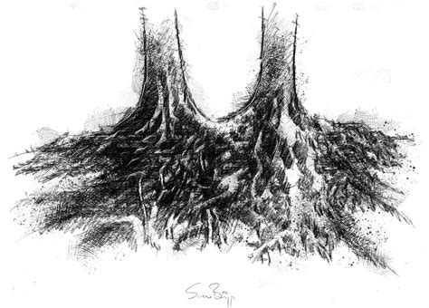 roots sketch  paintingvalleycom explore collection  roots sketch