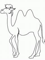Color Camel Easy Coloring Printable Print sketch template