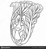 Cabbage Vegetable Depositphotos Patch Sybirko sketch template