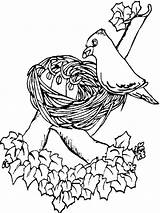 Coloring Pages Nest Bird Spring Her Empty Decorating Template Nature Color Summer sketch template