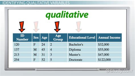 qualitative variable classification examples lesson studycom